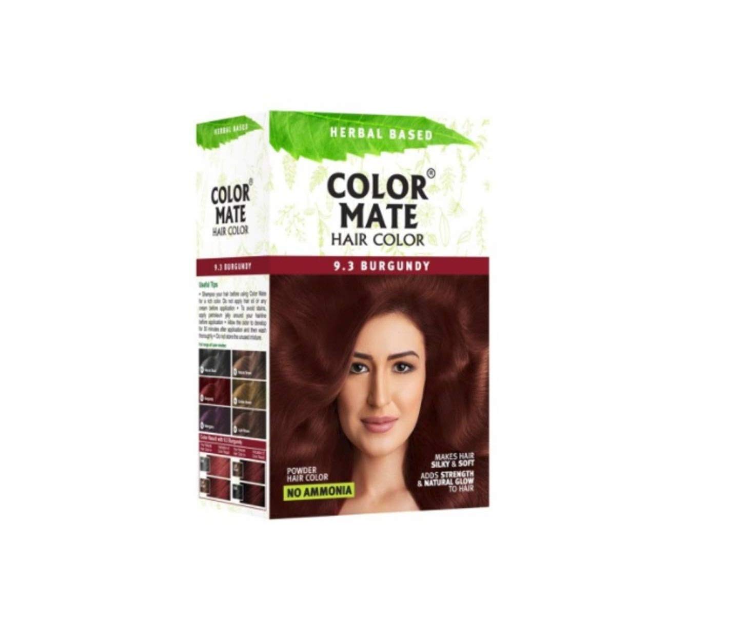 RICH AND SHILKY COLOR MATE BURGUNDY 9,3 NO AMONIA 15G