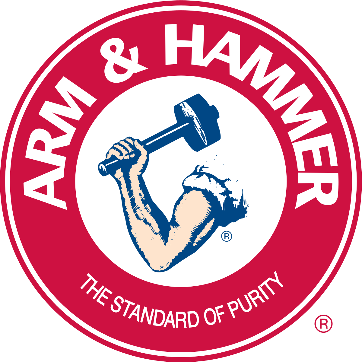 ARM AND HAMMER
