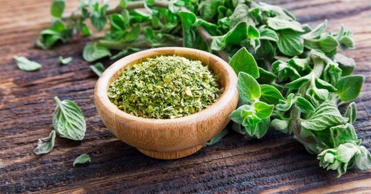 SAHIBA AJWAIN WHOLE 100g