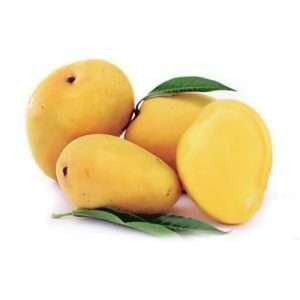 Badami Mango 1KG
